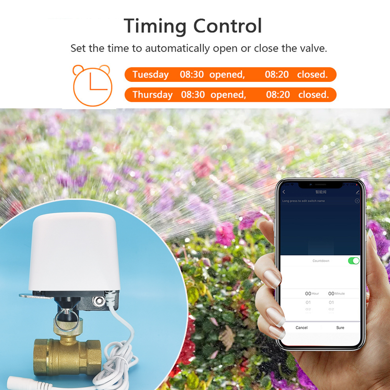 1/2インチ 3/4インチ 1インチ DN32 Tuya Z - Smart Home Features のレビューと価格