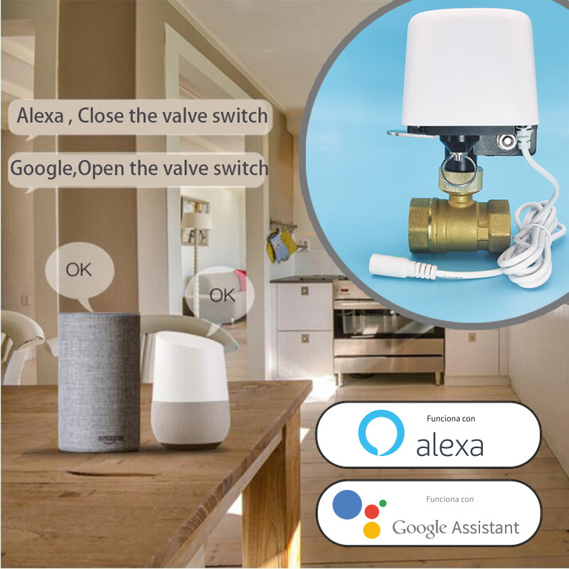 1/2インチ 3/4インチ 1インチ DN32 Tuya Z - Smart Home Features のレビューと価格