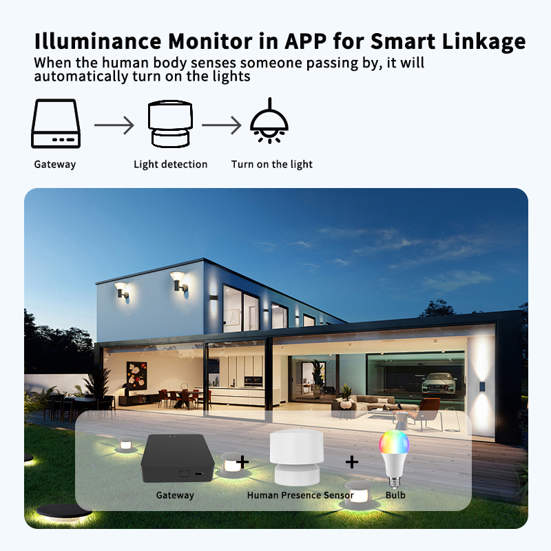 Zigbee または Wi-Fi 人感センサーは、Tuya  - Smart Home Monitor のレビューと価格